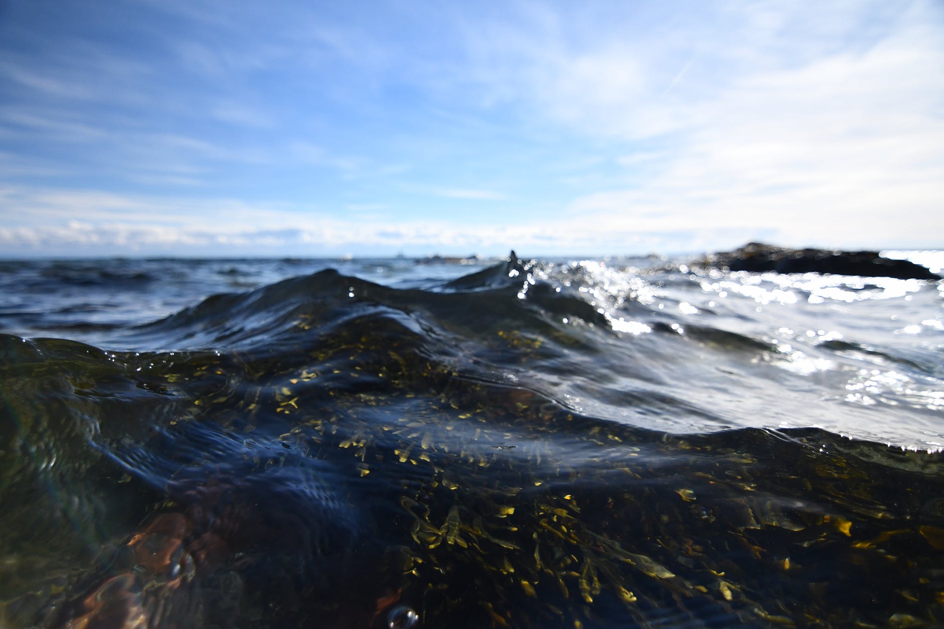 photography of body of water under sky
