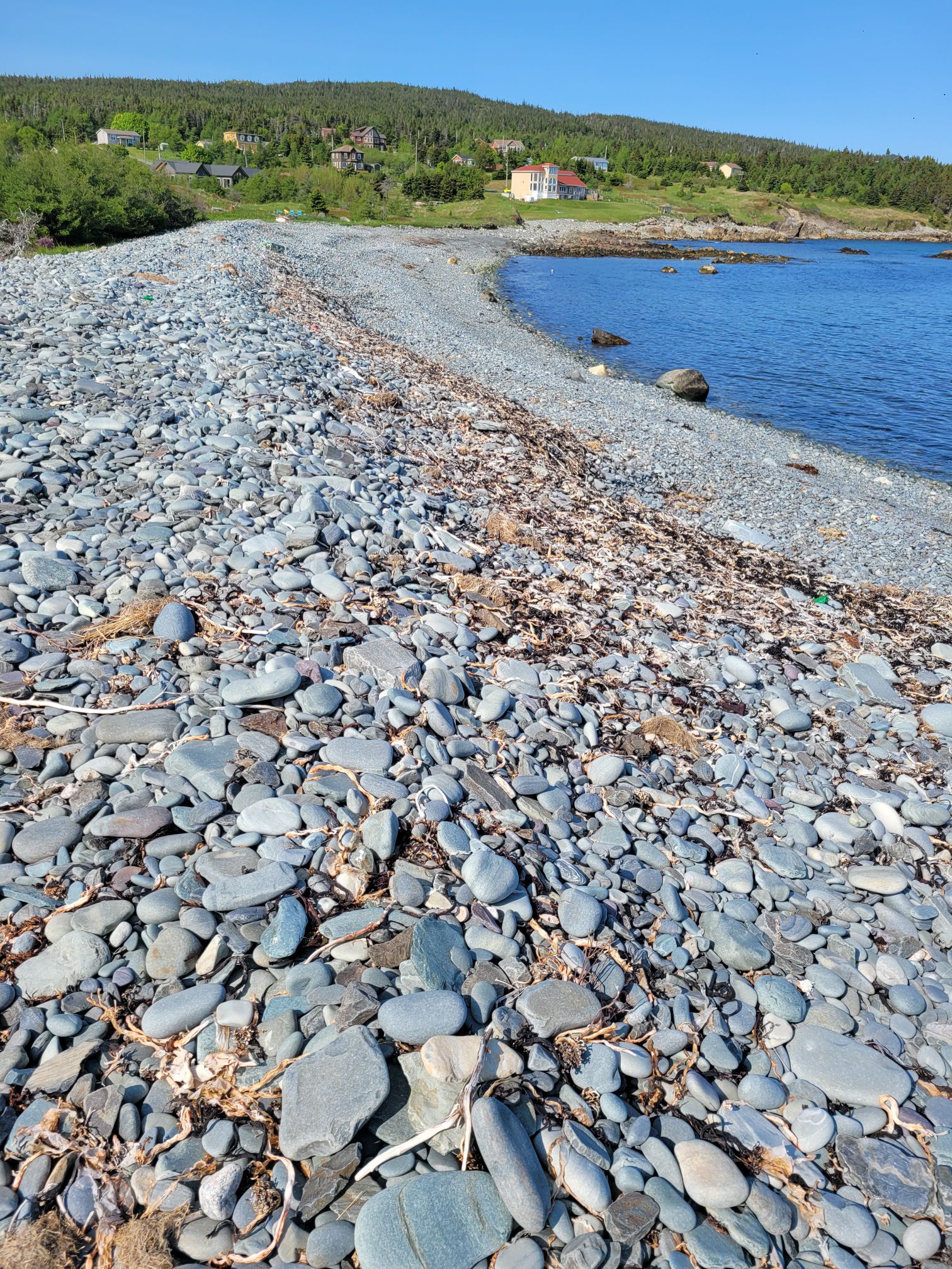 Earth to Ash Episode Fifty One – Life’s a Beach – Earth To Ash
